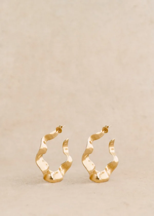 Anne Hoops