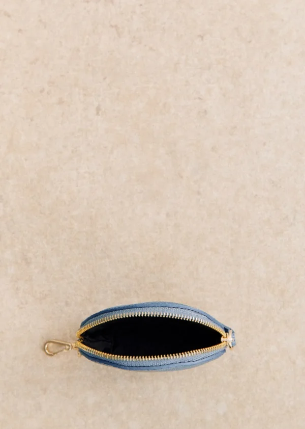 Sacha Coin Case