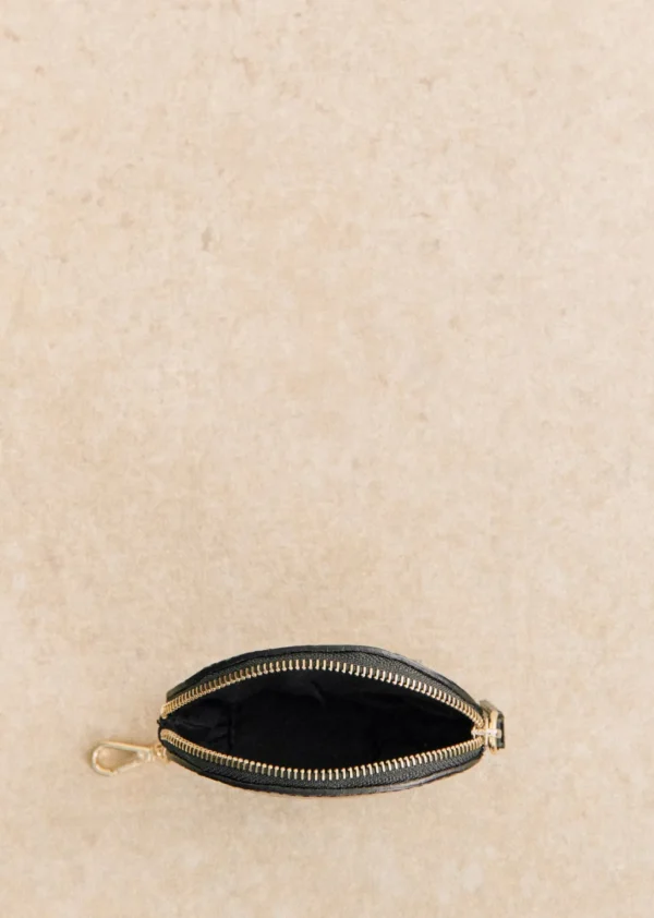Sacha Coin Case